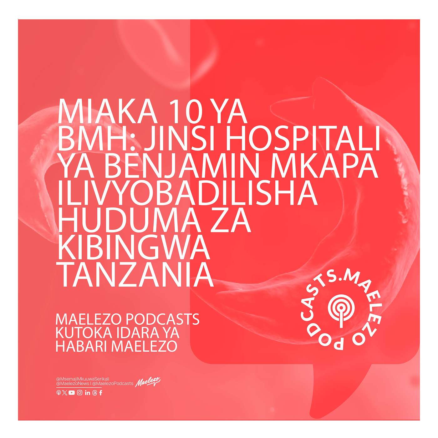 Miaka 10 ya BMH: Jinsi Hospitali ya Benjamin Mkapa Ilivyobadilisha Huduma za Kibingwa Tanzania